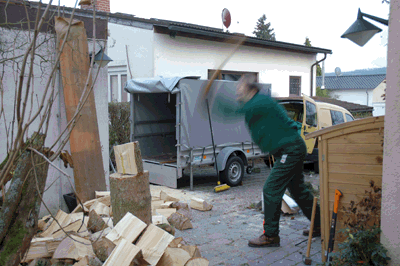 Holz
